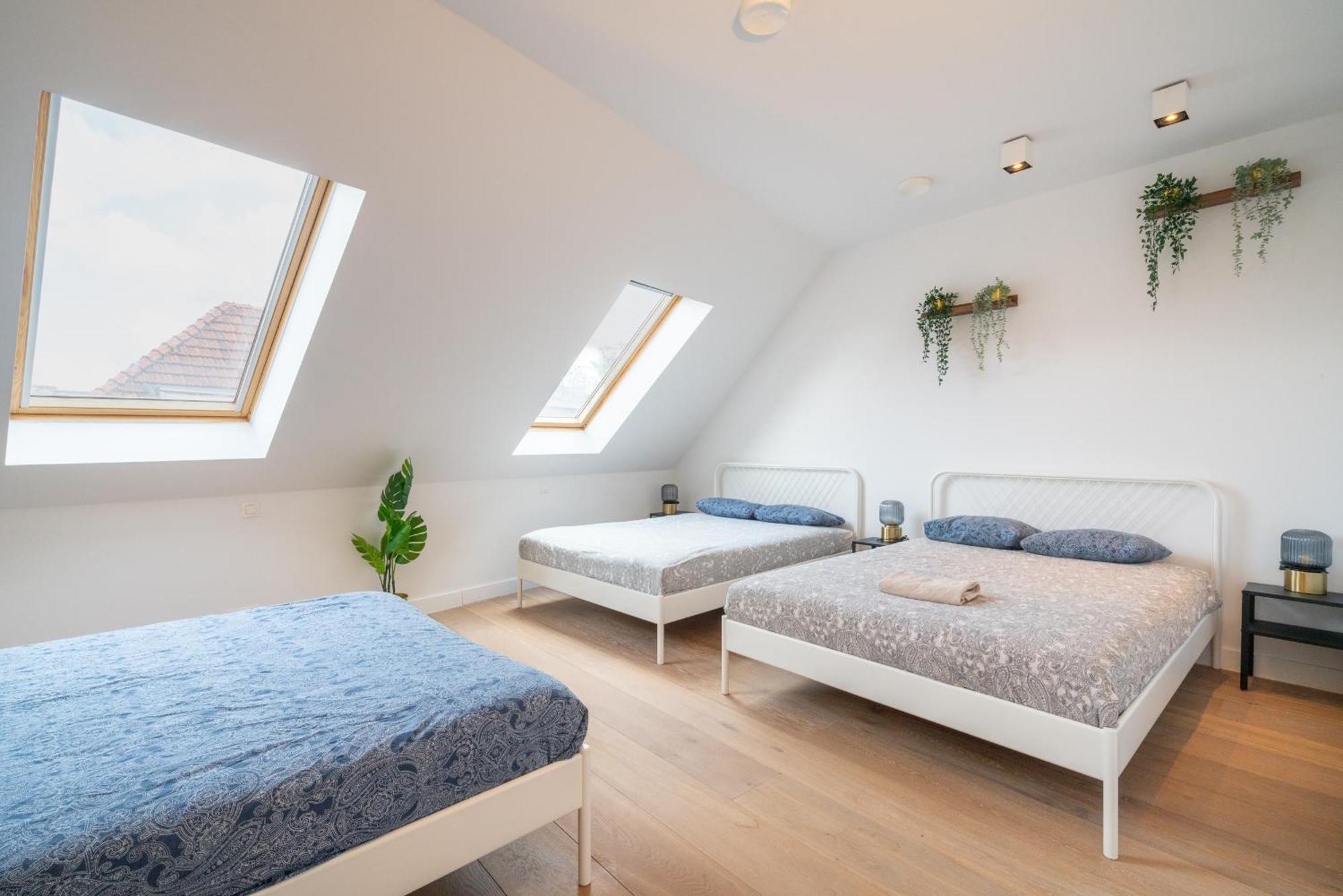 Apartment Light House. Heart Of Antwerpen Exteriör bild